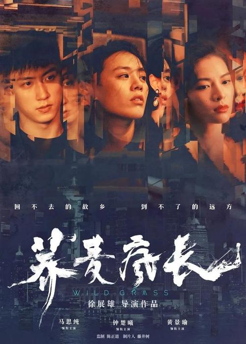 休斯敦大学学位证电子图